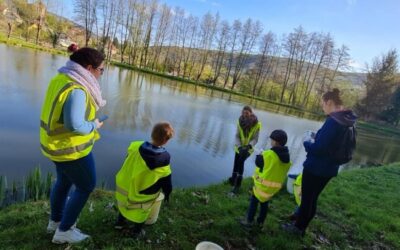 Animations : Sauvetage des batraciens