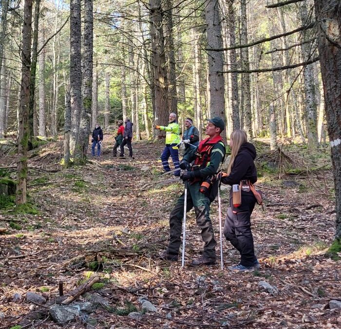 MARTELAGE PARCELLE 9 FORET COMMUNALE ÉLUS ET ONF
