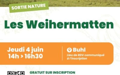 Sortie nature : à la découverte des Weihermatten de Buhl