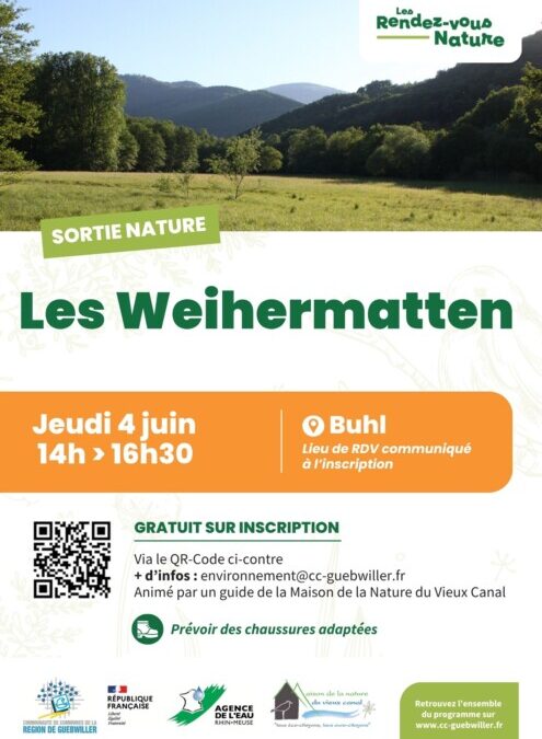 Sortie nature : à la découverte des Weihermatten de Buhl
