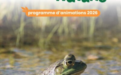 Journées Nationales de la Réparation du 16 octobre au 19 octobre 2026 – Animations